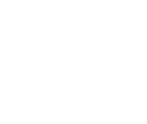 FinanzSafe ®
